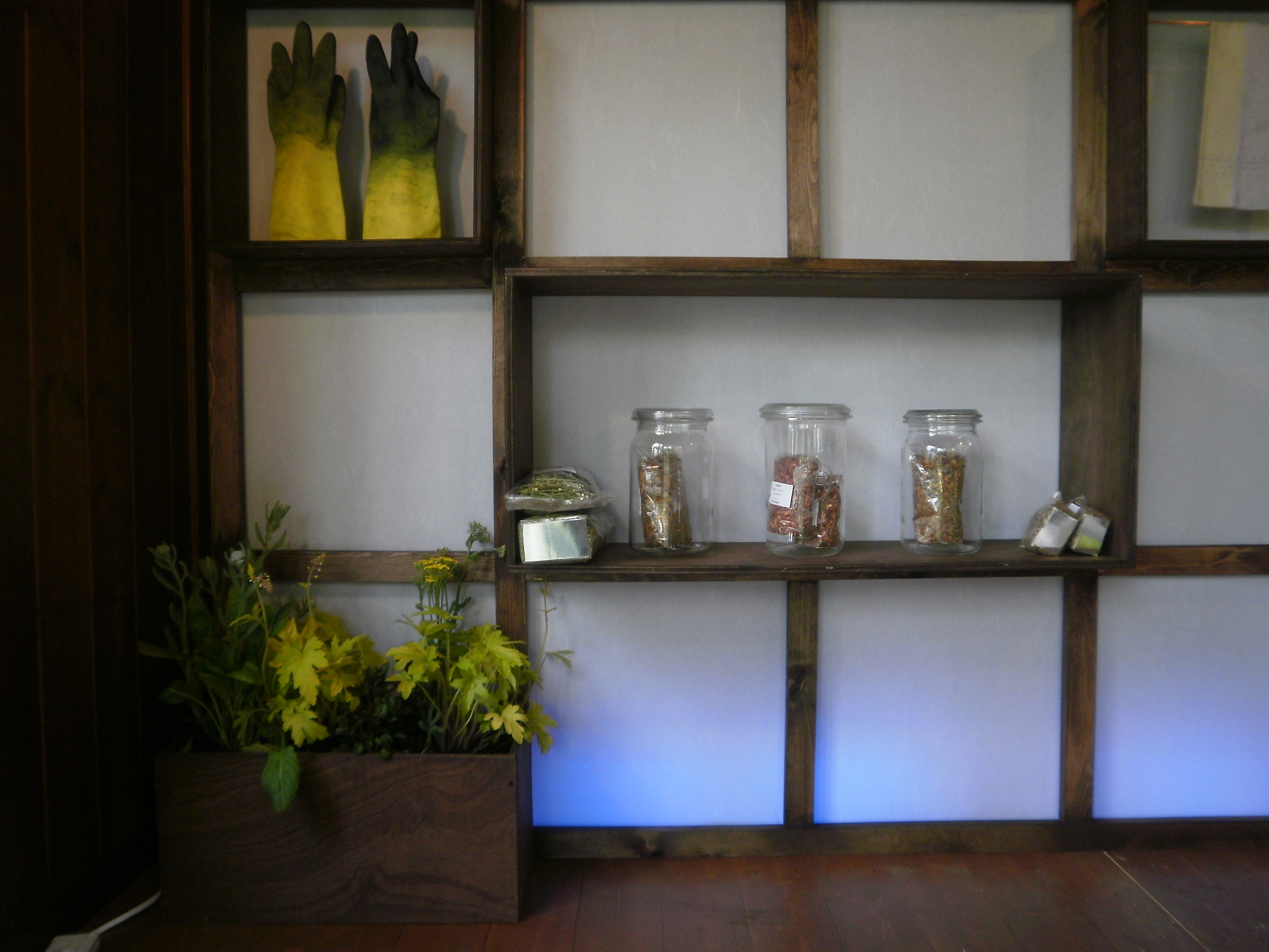 The interior of the Artisan Retreat showcases the eco-dye process. Here are plants, gloves used in the dye process and dried plants stored in jars.